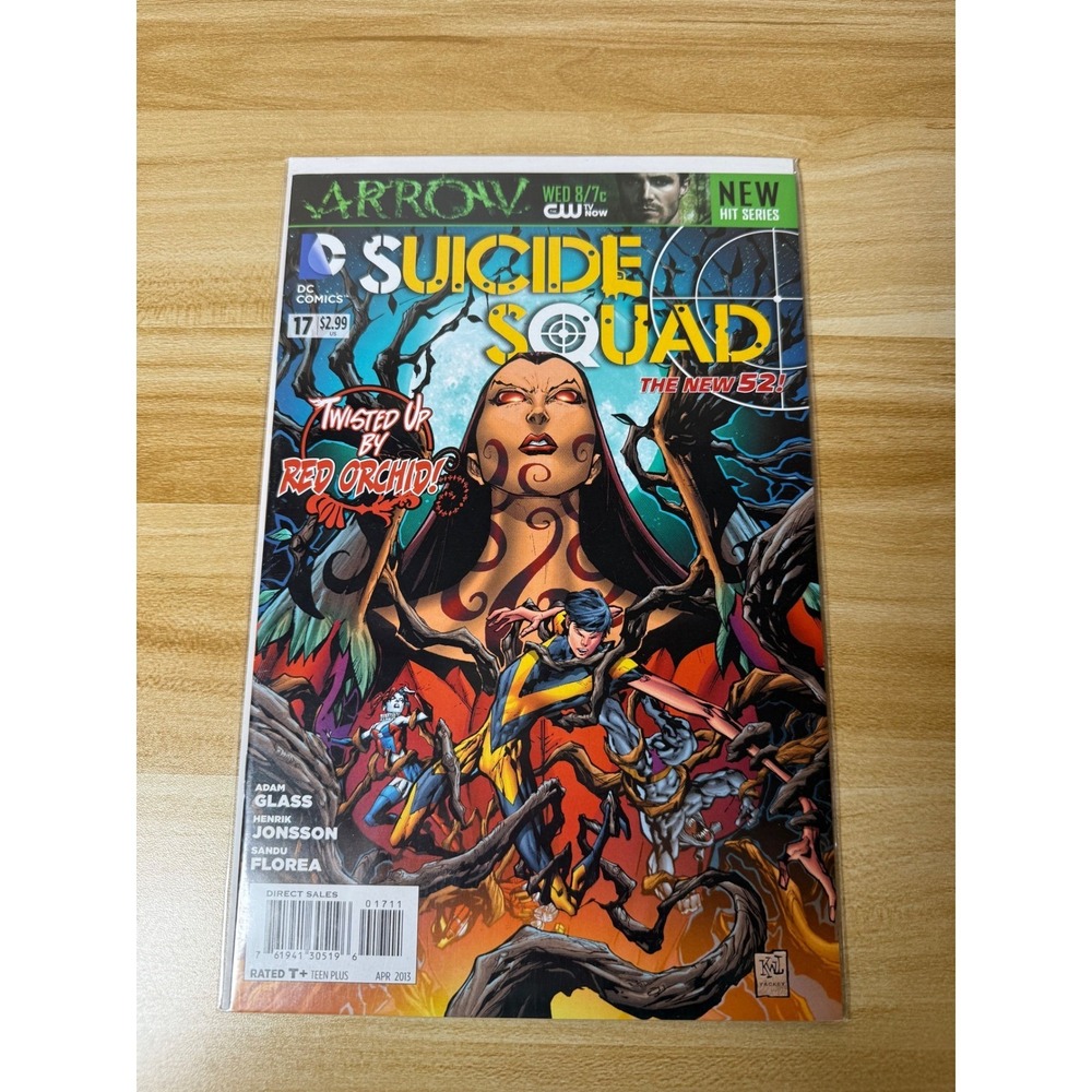 DC Comics Suicide Squad‎ 17 The New 52 Twisted Up by Red Orchid Adam Glass